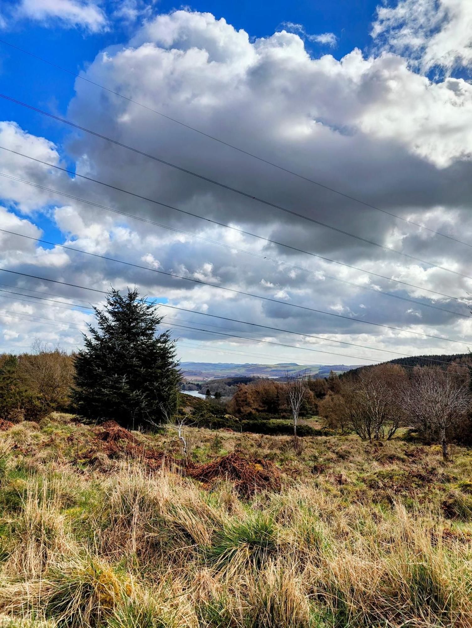 Pitcaithly Cottage Abernethy Exterior foto